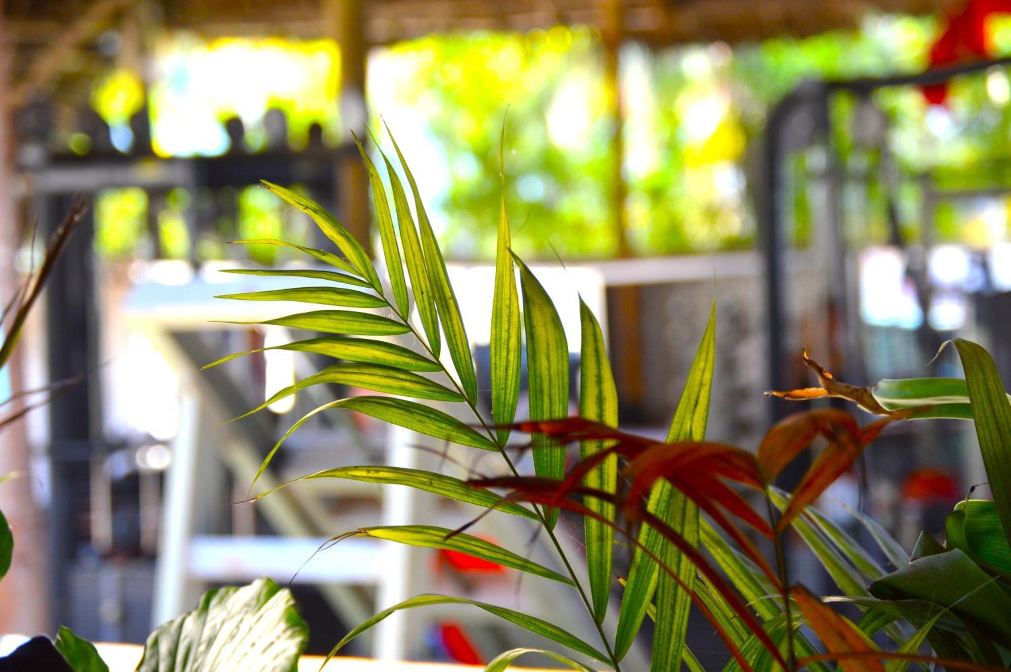 New Jambo Bungalows Paje Exterior photo
